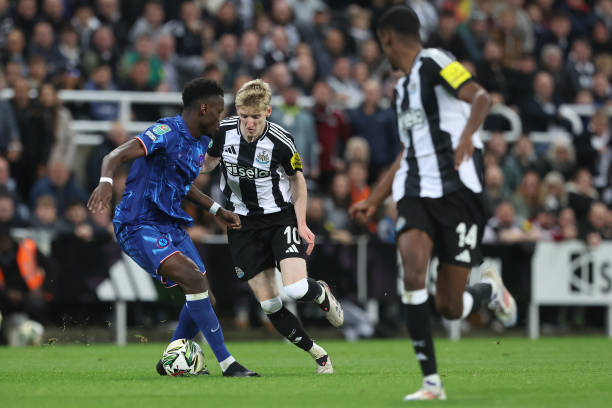 美国等传统 美国等传统